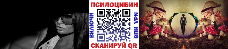 даркнет наркотические препараты  Благодарный  Галлюциногенные грибы мицелий 